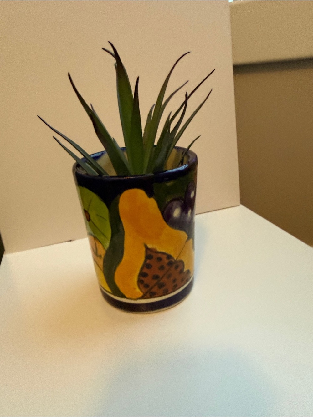 Mexico Hand-Painted Ceramic Fruit Tumbler  Planter Holder with Blue Rim - Picture 5 of 14